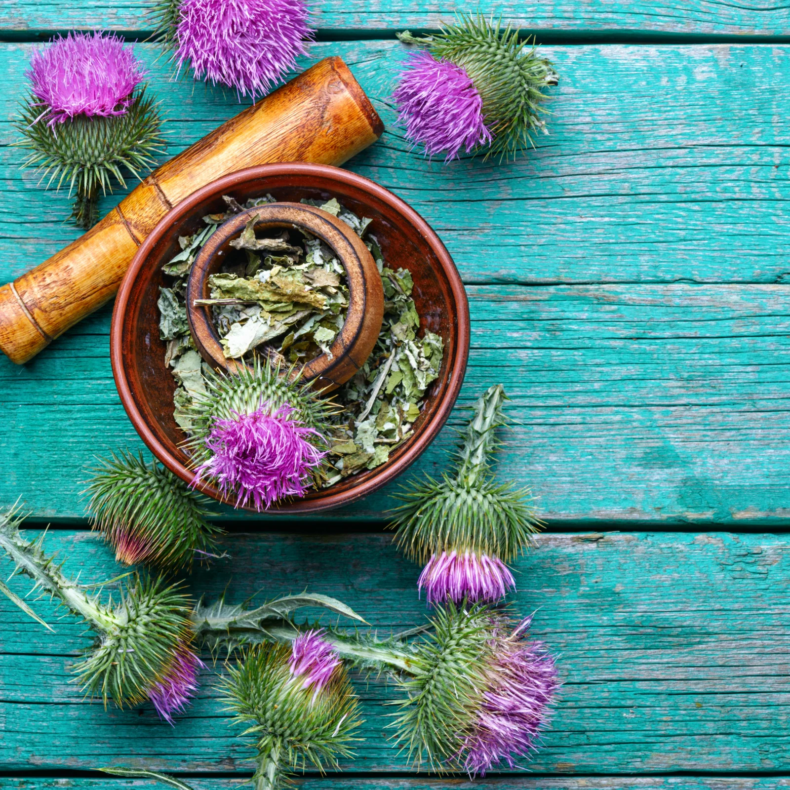 Vorschaubild 2